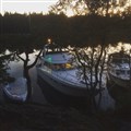IMG_1450.JPG